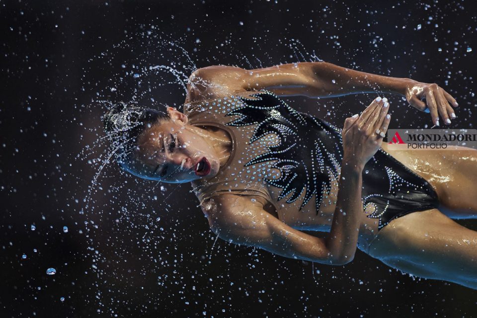 Swimming 2017: FINA World Championships: Hungary