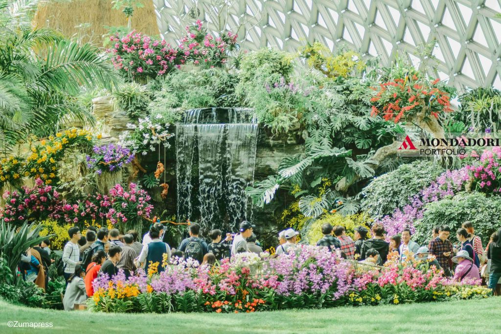 Orchidee, fiori di ciliegio e tulipani possono essere ammirati al Chenshan Botanical Garden di Shanghai.