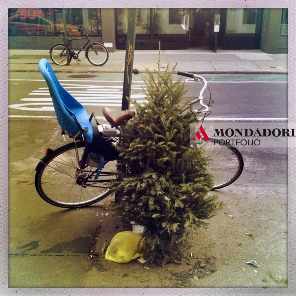 Un albero è stato abbandonato accanto a una bicicletta sui marciapiedi di New York