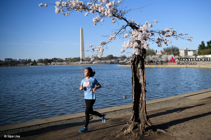 Una ragazza corre vicino a un albero di ciliegio a Washington D.C., negli Stati Uniti.