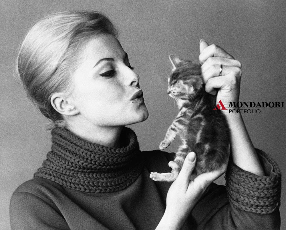 Virna Lisi con un gattino